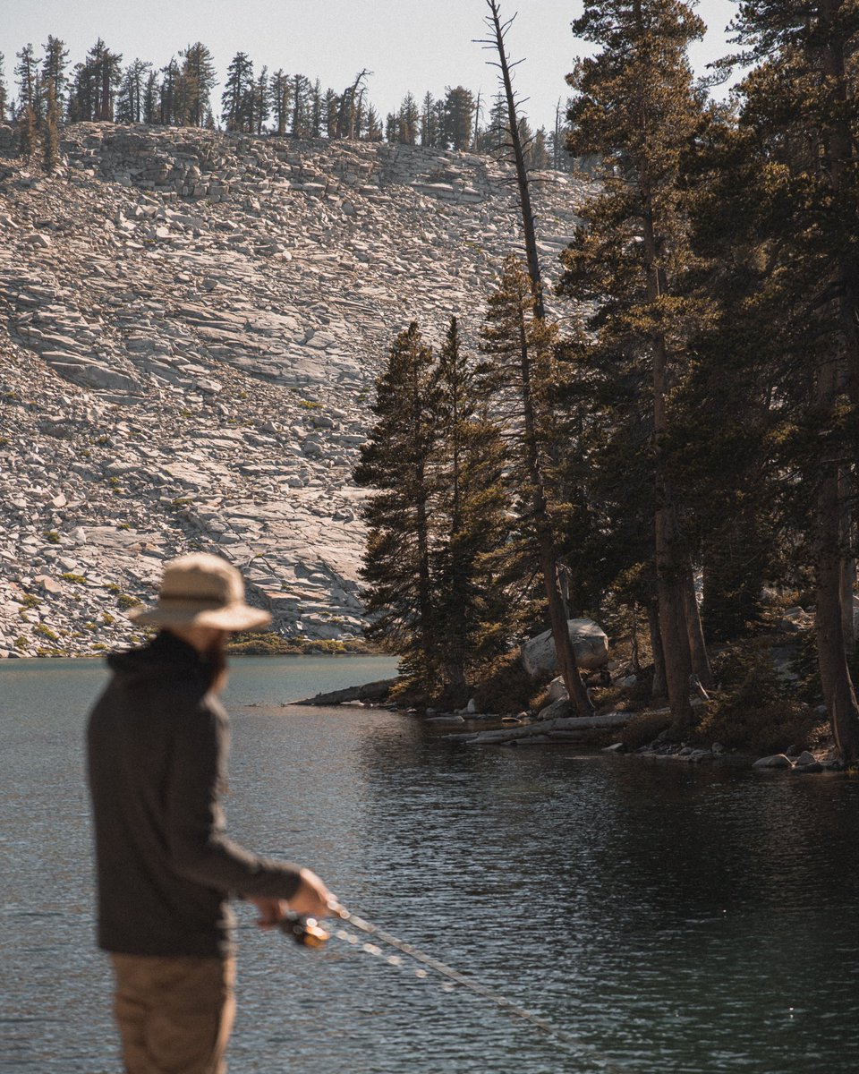 Dane Deaner tweet media