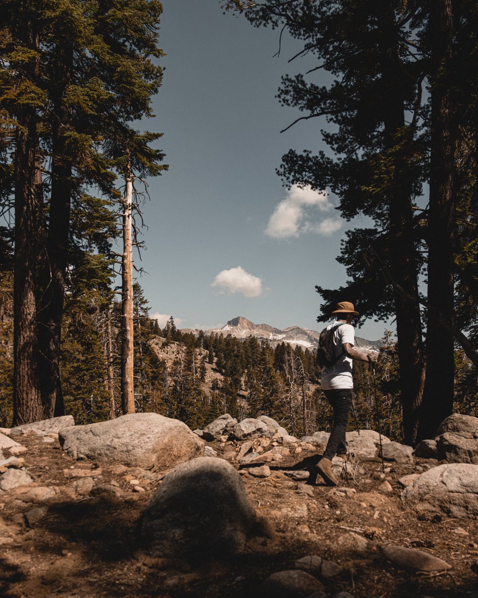 Dane Deaner tweet media