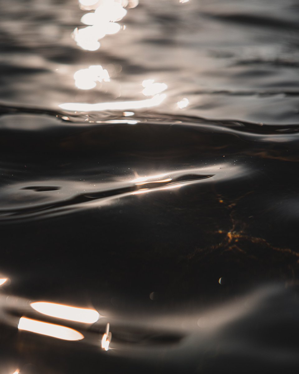 Dane Deaner tweet media