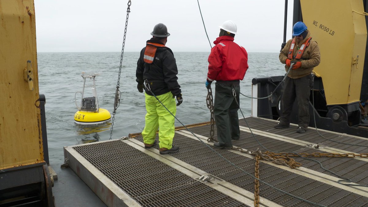 NOAA Fisheries AK tweet media