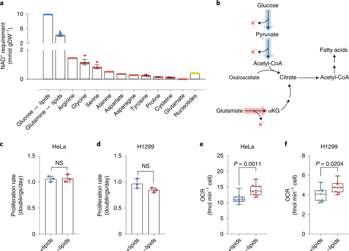 Online now! Cancer cells depend on environmental lipids for proliferation when electron acceptors are limited dlvr.it/SSk5Xy