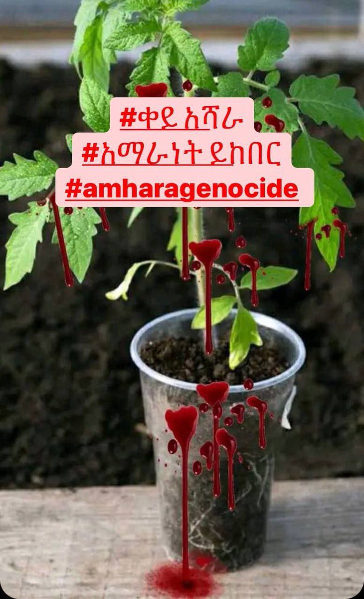 MekonnenS1's tweet image. #AmharaGenocide 
#AmharaUnderAttack
#StopAmharaGenocide
#StateSponsoredAmharaGenocide
#mulugetaanberbr