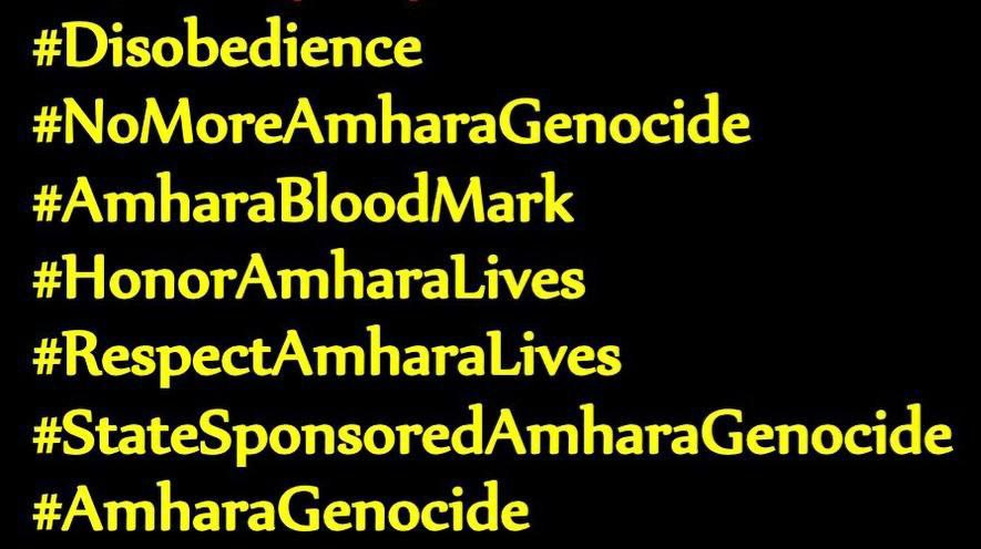 MekonnenS1's tweet image. #AmharaGenocide 
#AmharaUnderAttack
#StopAmharaGenocide
#StateSponsoredAmharaGenocide
#mulugetaanberbr
