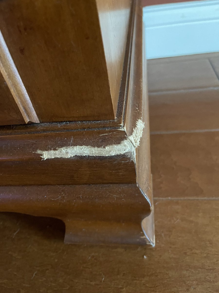 RosiePosieBoops's tweet photo. Oh dear! 🙉🙈🙊😂 Me big sissy Punkin who is OTRB whittled a design on mommy’s china cabinet when her was a puppy, mommy tells me her was very mad but now when she sees it she finks of Punkin! 🐾💞 Happy Thursday! #DogsOfTwitter #CalendarFun #ANewDogEveryday https://t.co/G8iwkENuWz