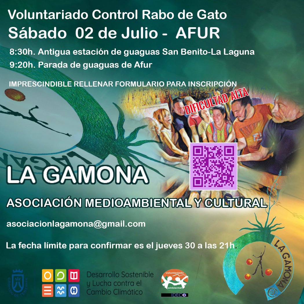 forms.gle/e8Nq16WV7CjLLA…