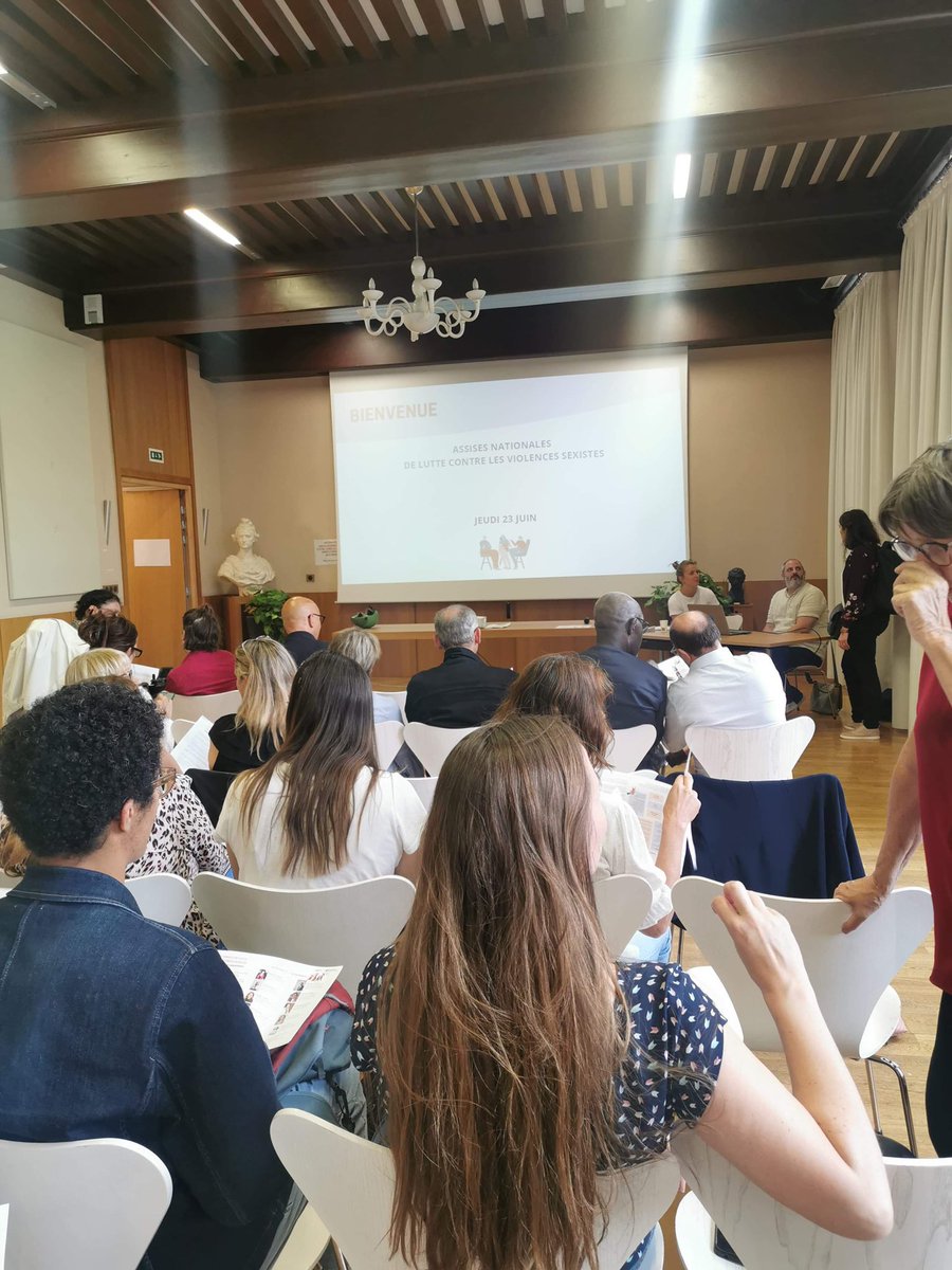 Luna N’Haoua Jamet, chargée de projet prévention au Team Elles, a assisté cet après midi à une réunion pour la préparation des Assises Nationales de lutte contre les violences sexistes ! Une réunion très intéressante pour le projet que mène Luna ! #prevention