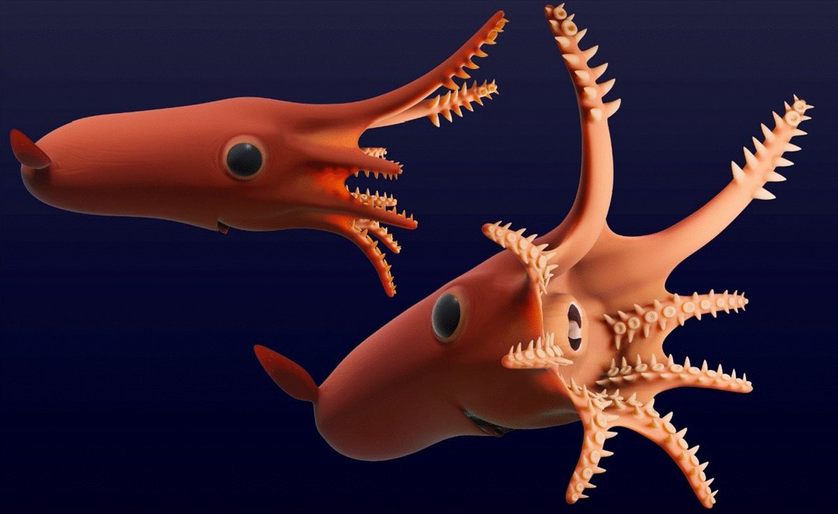New paper confirms that Vampyronassa from the Middle Jurassic of France is an early vampire squid!