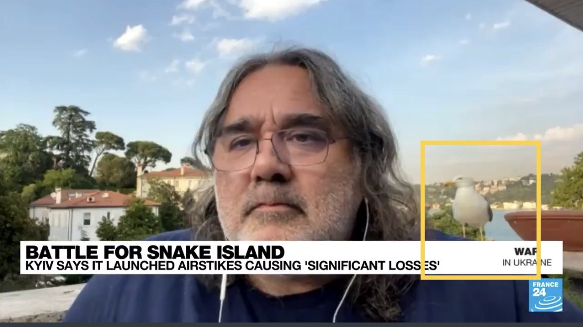 Come for <a href="/YorukIsik/">Yörük Işık</a> dropping knowledge, stay for the seagull casually watching in the background during the entire interview