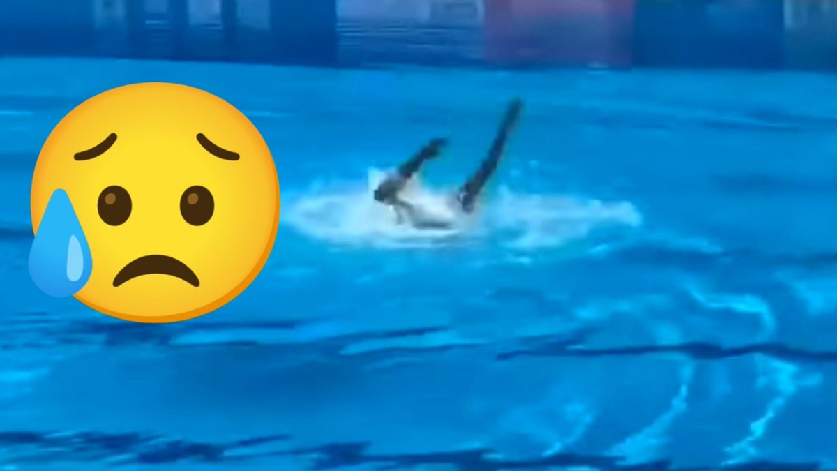AASindhu's tweet photo. OMG
https://t.co/sDzRDmKQsT
As the American artistic swimmer Anita Alvarez fainted and sank toward the bottom of the pool at the world championships, her coach Andrea Fuentes made

Anita Alvarez lost consciousness Video | Anita Alvarez video | swimmer Anita Alvarez https://t.co/fi2ZNe7ZpI