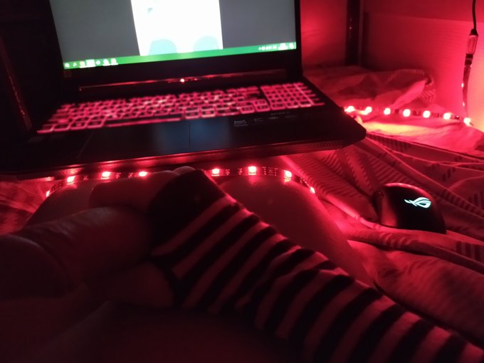 1 pic. My gaming setup.
#Femboy #Cock #Porn #Furry https://t.co/SZXMCS0j4v