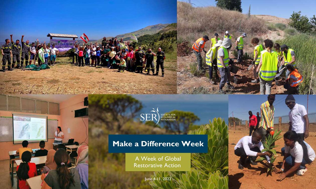 SERestoration's tweet photo. #MakeADifferenceWeek was a success! Thank you to the 170+ organizations from countries across the world that participated in this year’s event.
Check out photos of events from around the world 🌍 https://t.co/yYDFOnLQQX https://t.co/xvLqVPaMJH