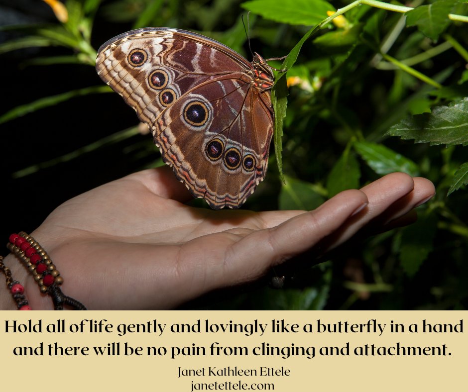 JanetEttele's tweet photo. Hold life gently.... #mindfulnesscoaching #Transition #PersonalIntrospection #TibetanBuddhism #JanetEtteleAuthor #JanetEtteleCoach https://t.co/4S8zZWZ2Ae