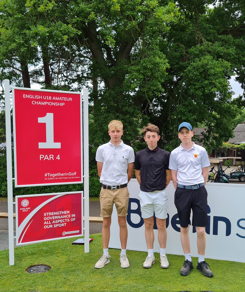 Martin Reed tweet media