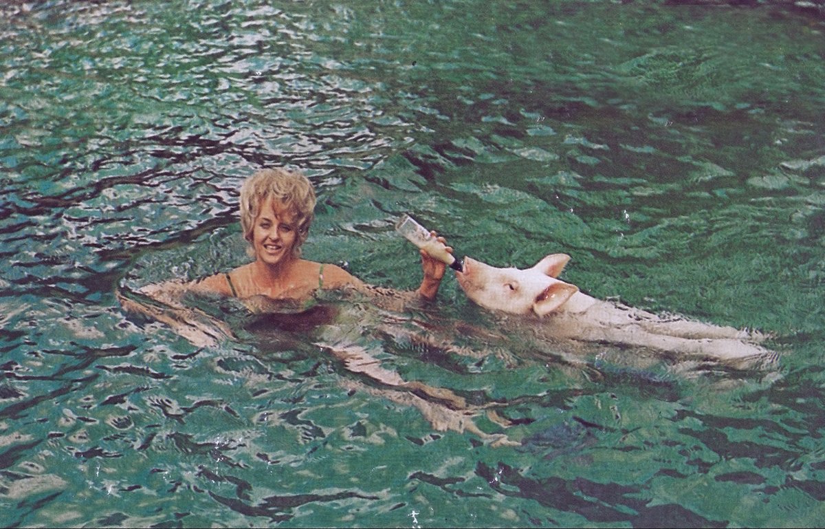 Traces of Texas tweet media