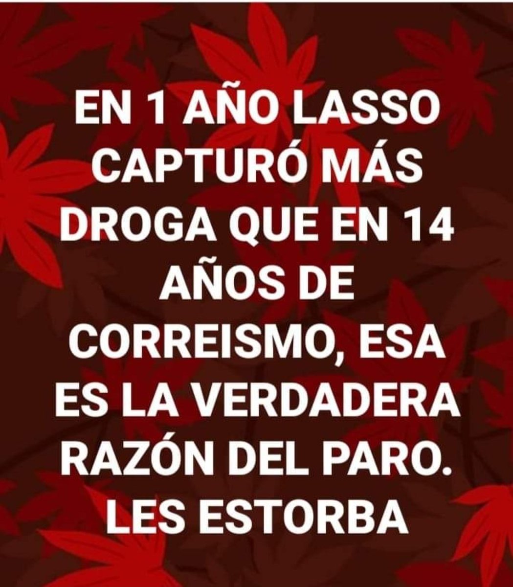 Jacques de Molay 🇪🇨 tweet media