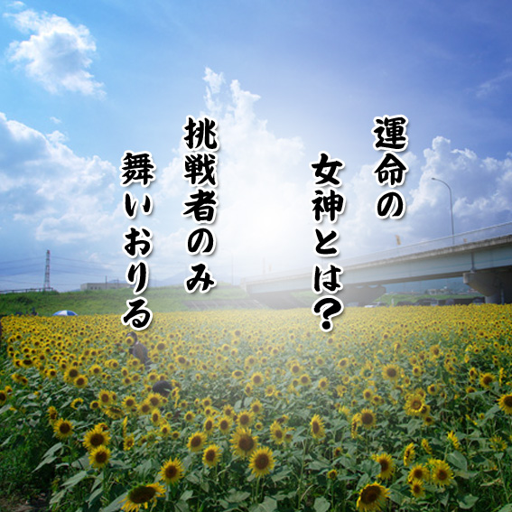 癒しの名言と動画 Ejrvzyida01 Twitter