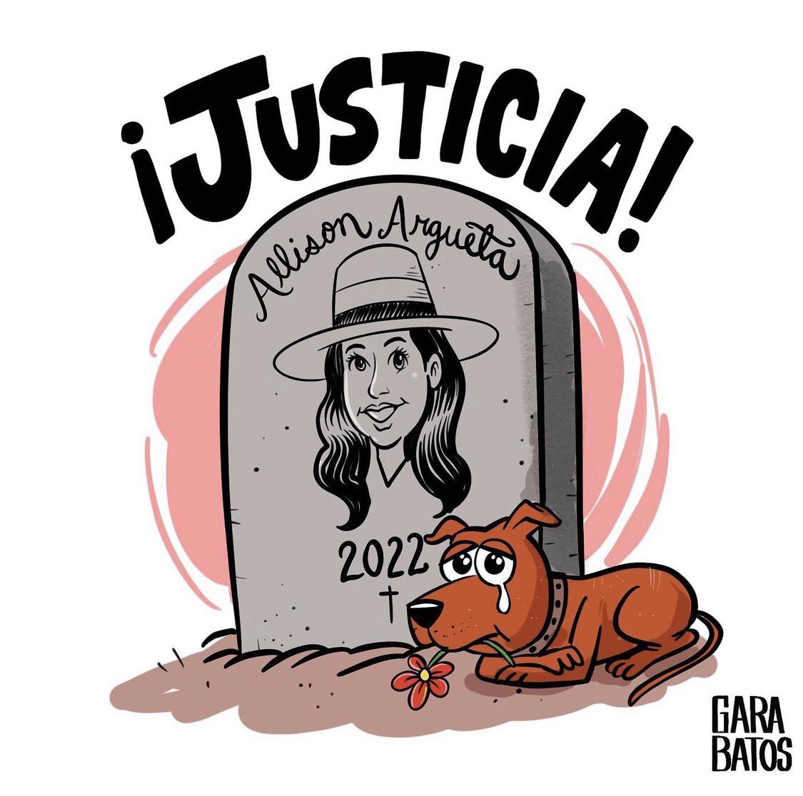 Casi lloro con esta ilustración #JusticiaparaAllison y #justiciapararocky