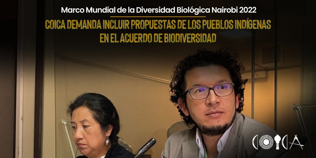 coicaorg's tweet photo. #Nairobi | Desde la COICA, como pueblos indígenas, proponemos acciones efectivas para la protección de la #biodiversidad global ante los países parte, en la 4ta reunión de composición abierta sobre el Marco Global de Biodiversidad #pos2020.
👉🏽 https://t.co/QBwCSYDZEU https://t.co/vKzbVoPerN