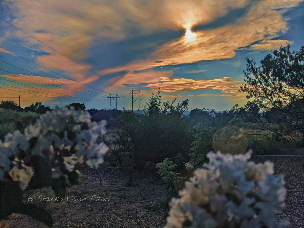 StarksVision18's tweet photo. Sunsets is one of the best features on planet Earth #Earth #life #skies #sunset #photo #FolloMe #photograph #sun #clouds #follo4folloback #follo #World #NaturePhotography #nature撮影会 #nature I follow back #photographer #outdoors https://t.co/8bTruyXR54