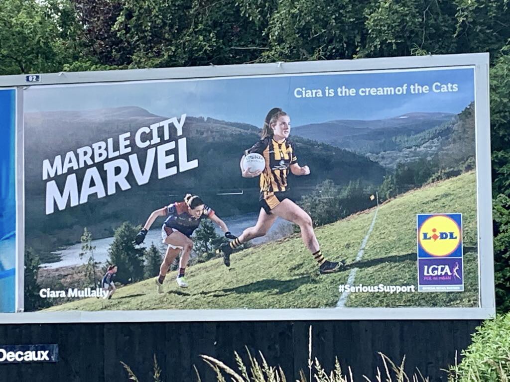 Kilkenny LGFA tweet media