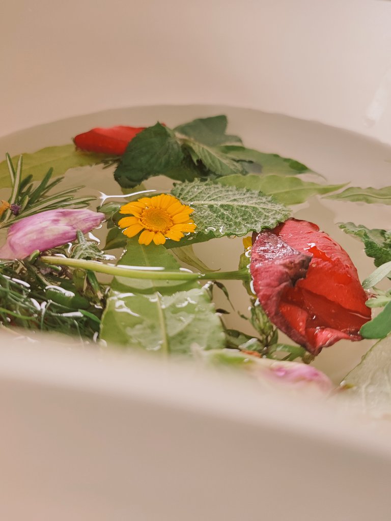 Herbas de San Xoan 🌿🍀🌼🔥