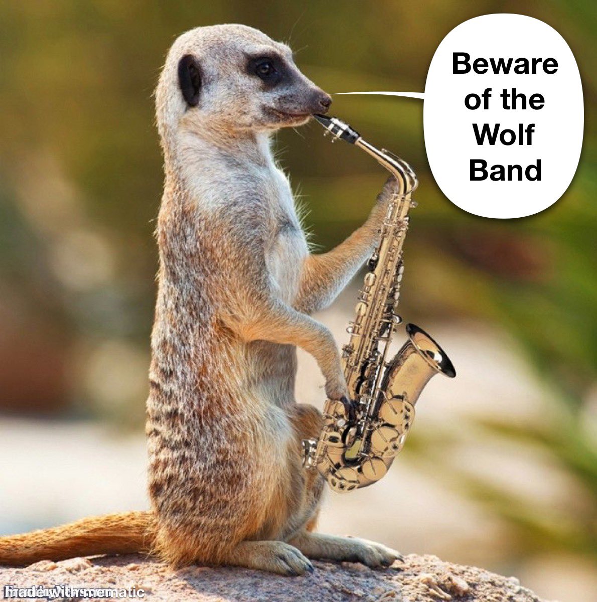 Just a meerkat playing the Saxophone to remind you that the Wolf Band is out there practicing this summer. Summer practice makes Fall amazing!