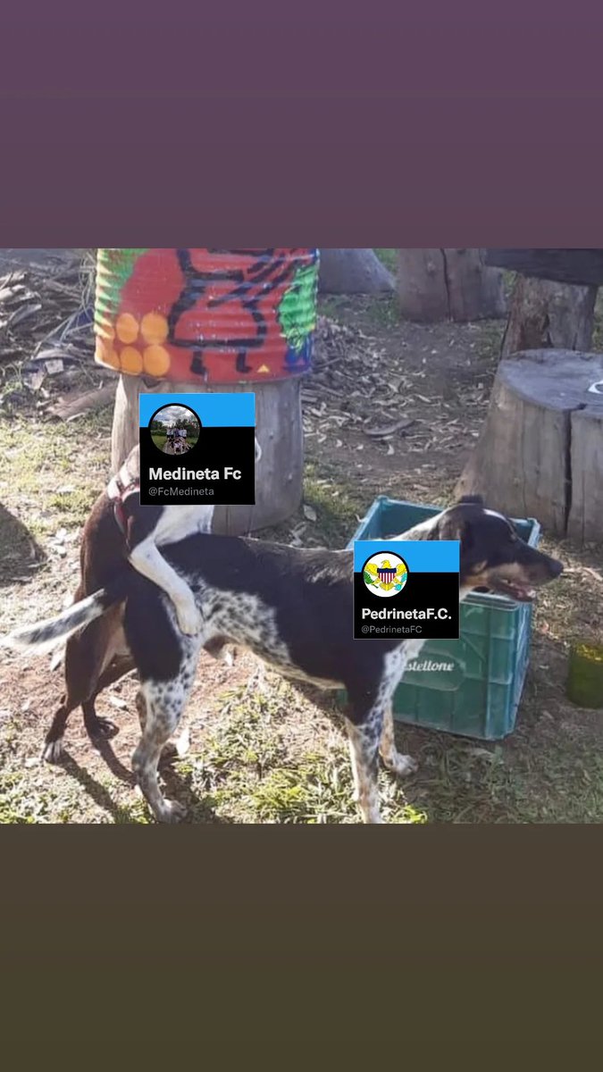 FcMedineta's tweet photo. nada que decir,
MEDINETA ENTRE 10 Y 15
PENENETA 2
agreguen tantos comentarios como deseen, nosotros ya hemos hecho nuestro trabajo
🔥🔥🔥🔥🔥🔥🔥🔥🔥🔥🔥🔥🔥🔥UNA POLLA VAMOS MEDINETAAAAAAAWISOJW+€#-9@3🔥🔥🔥🔥🔥🔥🔥🔥🔥🔥🔥🔥🔥🔥
#JuntosPorUnSueño
#SinRival https://t.co/sVE2uLtcvl