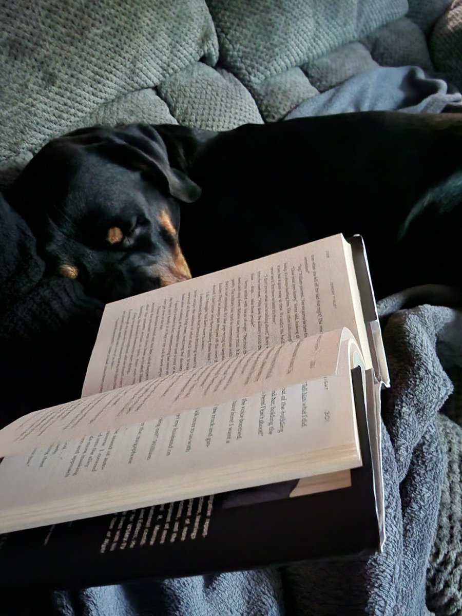 Author Christi Lee tweet media