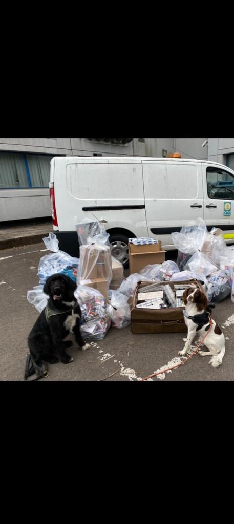 ConsumerDogs's tweet photo. What a day ......the total count is not in yet ,30k or possibly higher .A fantastic day with @GlasgowCC @socotss #operationCeCe #illegaltobacco .lots more photos to follow ....I think it's going to be a bug number ! 😊 https://t.co/9K8rwuCric