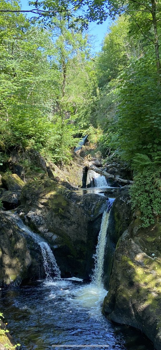 glencroft's tweet photo. Last day of this beautiful weather, it seems.
#IngletonFalls Trail ๐ (& the now obligatory #wildswimming โบ๏ธ - quite something today, in the pool of the waterfall)
#YorkshireDales https://t.co/8VOeFrTcdb