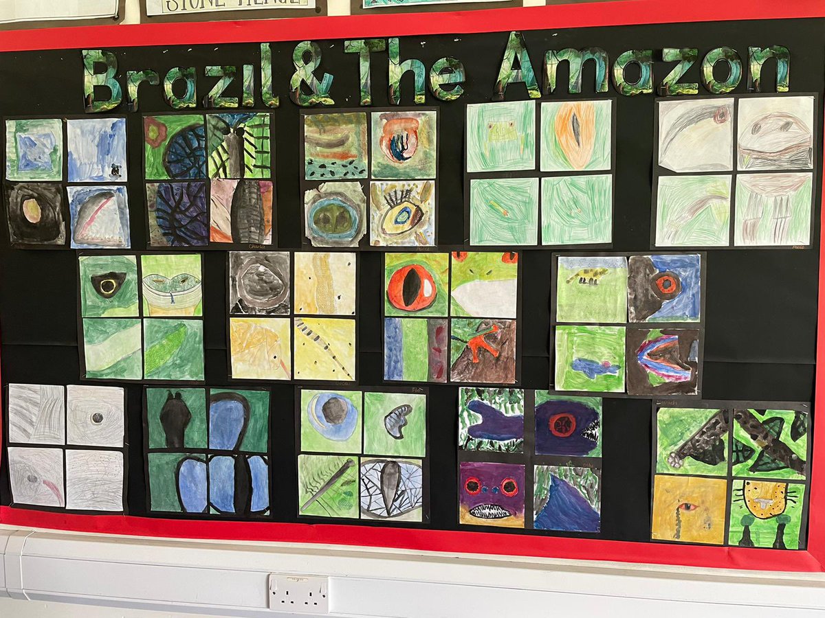 2/2 After practising our sketching skills, we decided which rainforest animal we wanted to create close-up art work for. We thought about what made that animal distinctive. Can you identify the animal in each picture?