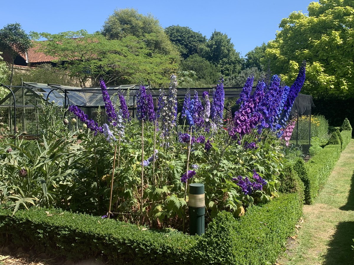 Elizabeth Humphries (@elizadayh) on Twitter photo Bishop’s Gardens looking resplendent in the sunshine this week in Norwich.
Wonderful work <a href="/bishopsgardens/">Head Gardener</a>
(Should I add that the purple is very on brand?) <a href="/DioceseNorwich/">Diocese of Norwich</a> Bishop’s Gardens looking resplendent in the sunshine this week in Norwich.
Wonderful work <a href="/bishopsgardens/">Head Gardener</a>
(Should I add that the purple is very on brand?) <a href="/DioceseNorwich/">Diocese of Norwich</a>