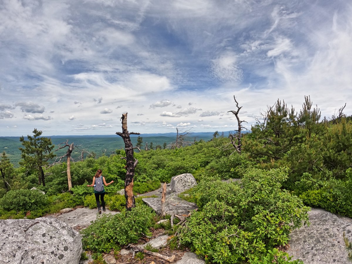 hbtrailscom's tweet photo. Hiking the Shawangunks Ridge - Long Path Section 13 - https://t.co/aUf8WvlzCn #gunks #shawangunks #hiking #getoutside #longpathsection13 #trails #outdoors https://t.co/Z5eCXuoSWE