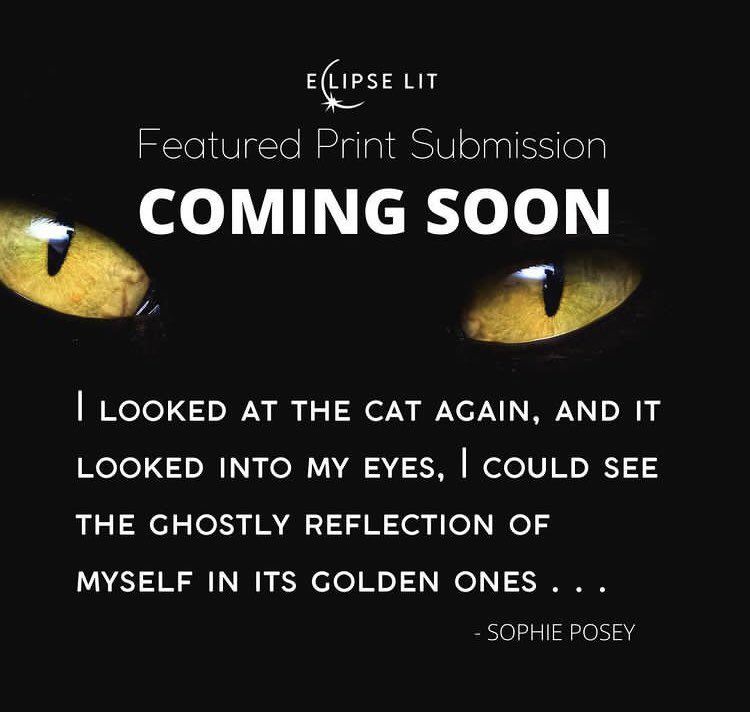 We couldn’t wait until Saturday to share a sneak peek of this piece from  <a href="/JupillatPosey/">Sophie Jupillat Posey</a> ! Wanna see more?  Pick up an issue at our Healing Fest this Saturday!