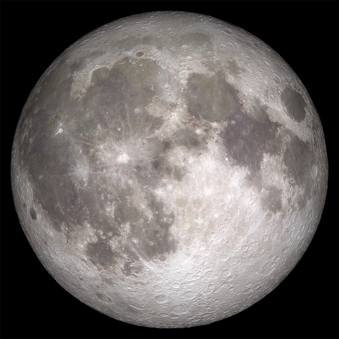 NatGeoTV's tweet photo. It's Cancer season! 🦀 Cancers, did you know that you're ruled by the moon? The astrological moon connects Cancers to their childhood, heightens their caring nature, and strengthens their intuition. Many believe the moon affects human emotions just as it does the Earth's tides. https://t.co/Mt9IqKohUt
