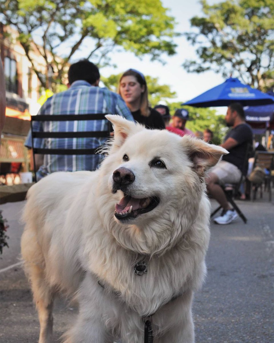 Looking forward to another beautiful night on the patio! Come on down, bring your friends and pups!
