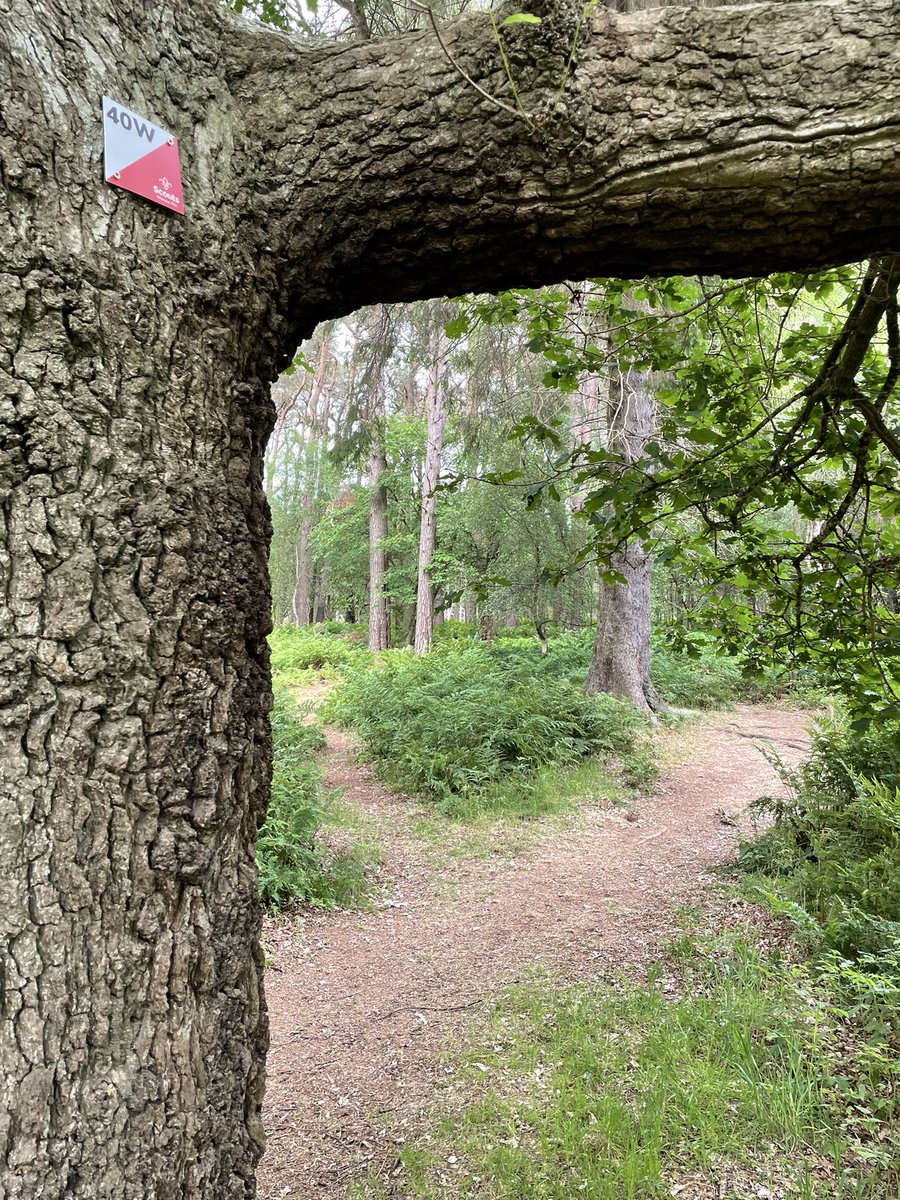 We’ve refreshed our #orienteering course today… give it a go next time you’re at <a href="/wemyssfirs/">Wemyss Firs</a>