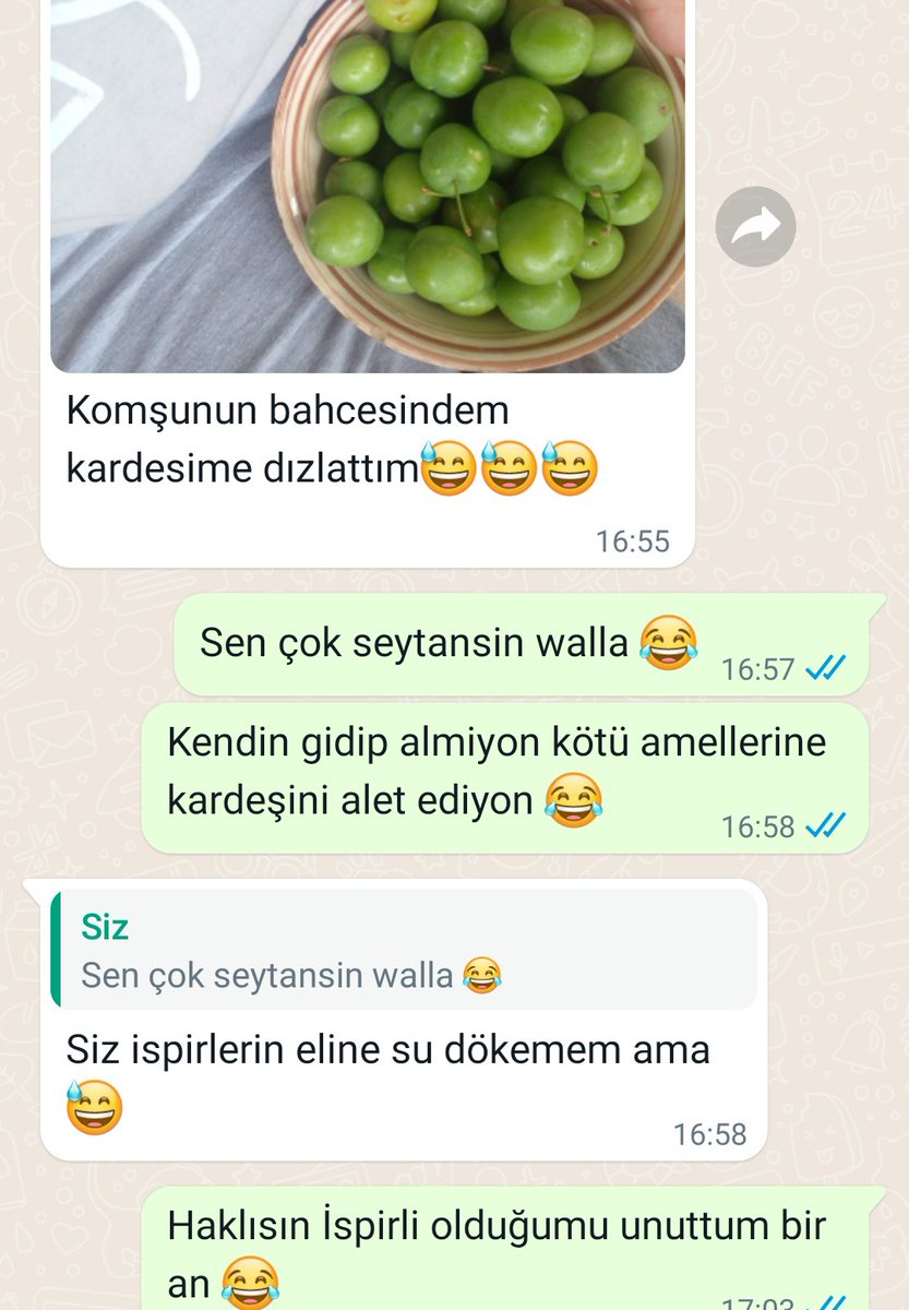 İspirlinin oltuluyla imtihanı 😂