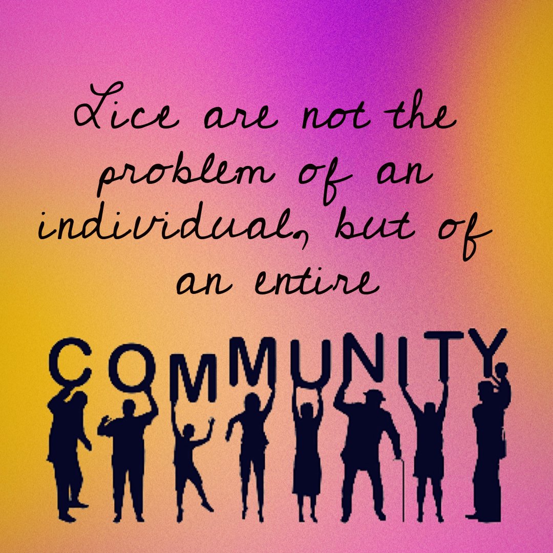 NitExperts's tweet image. Look out for your community by scheduling your head check today! #liceremoval
loom.ly/1Nav3xM