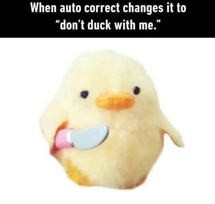 cheriboop's tweet image. 