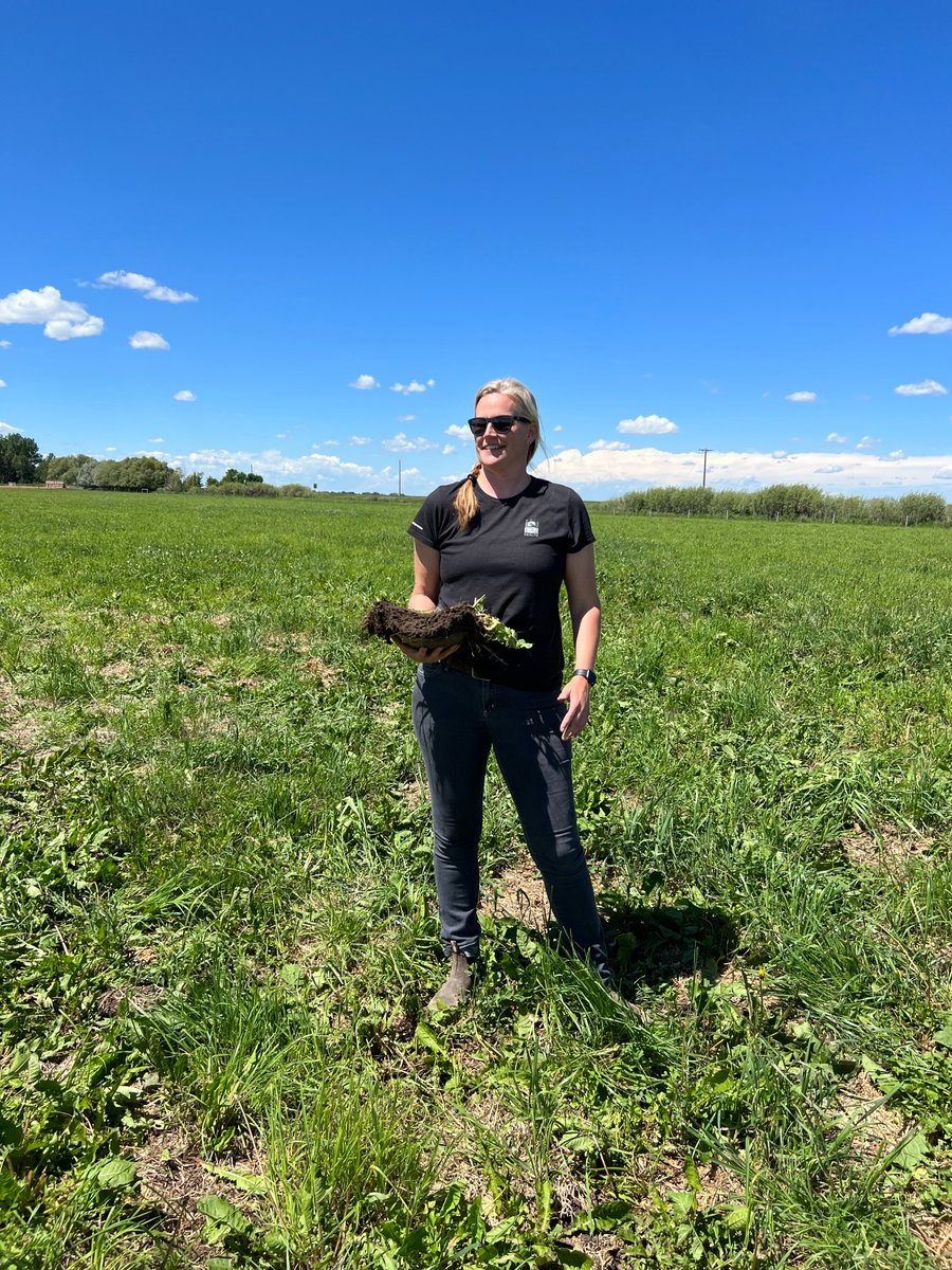 Foothills Forage & Grazing Association tweet media