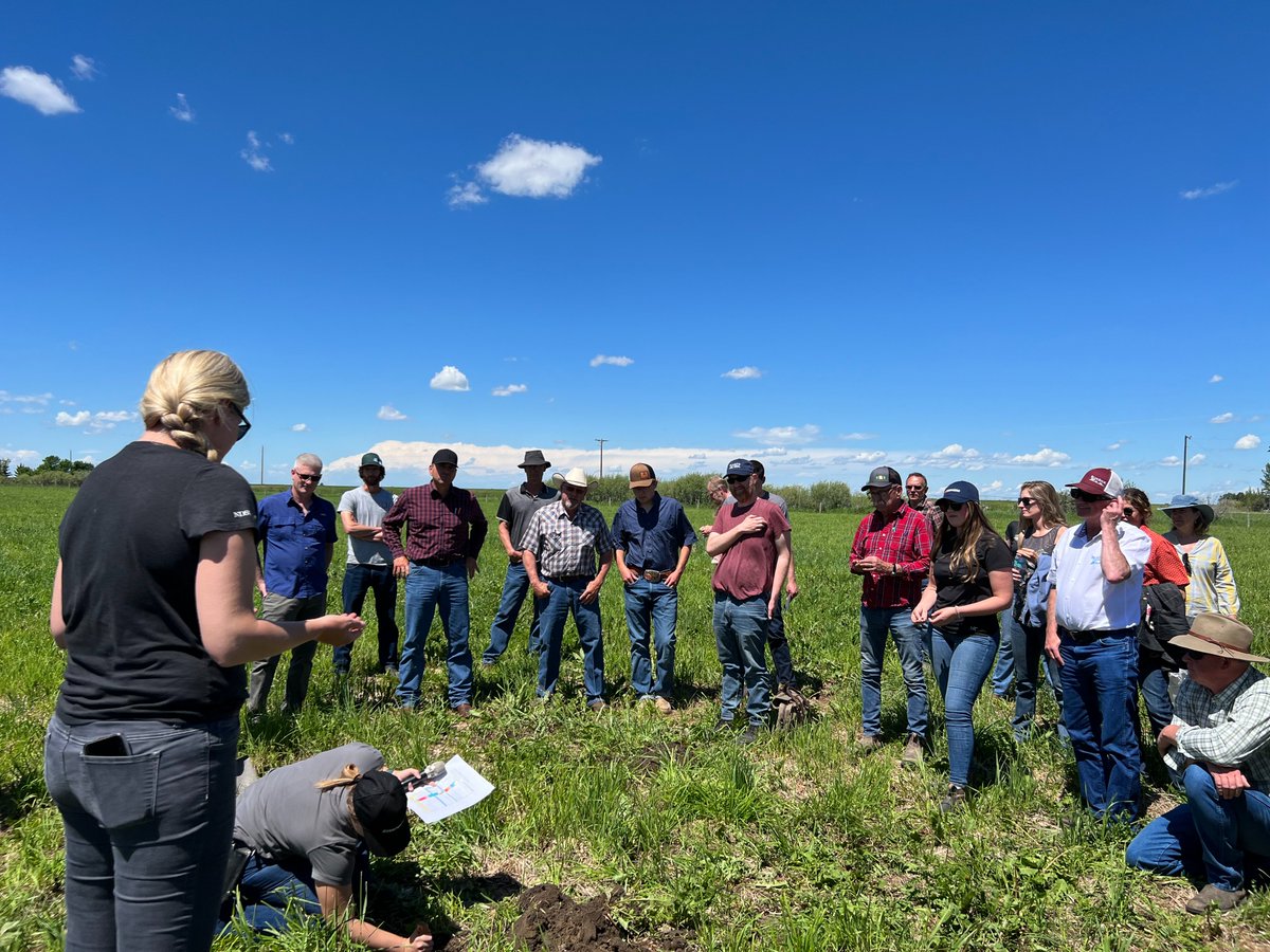 Foothills Forage & Grazing Association tweet media