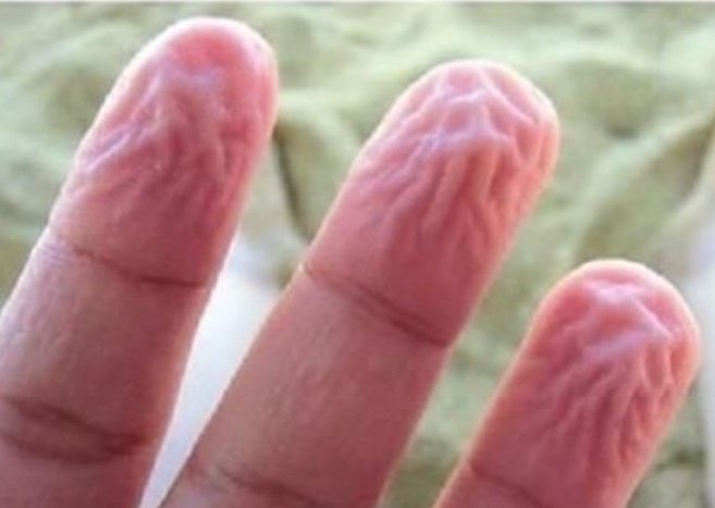 Chel 🌾 tweet media