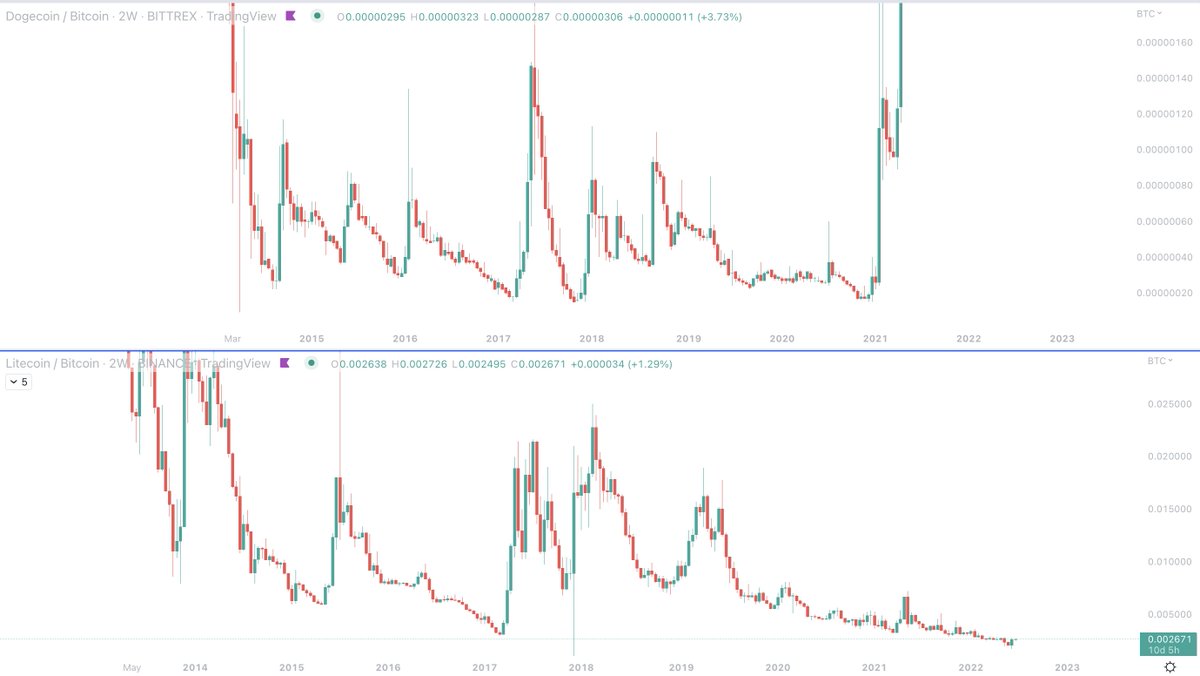 Martin ₿ tweet media