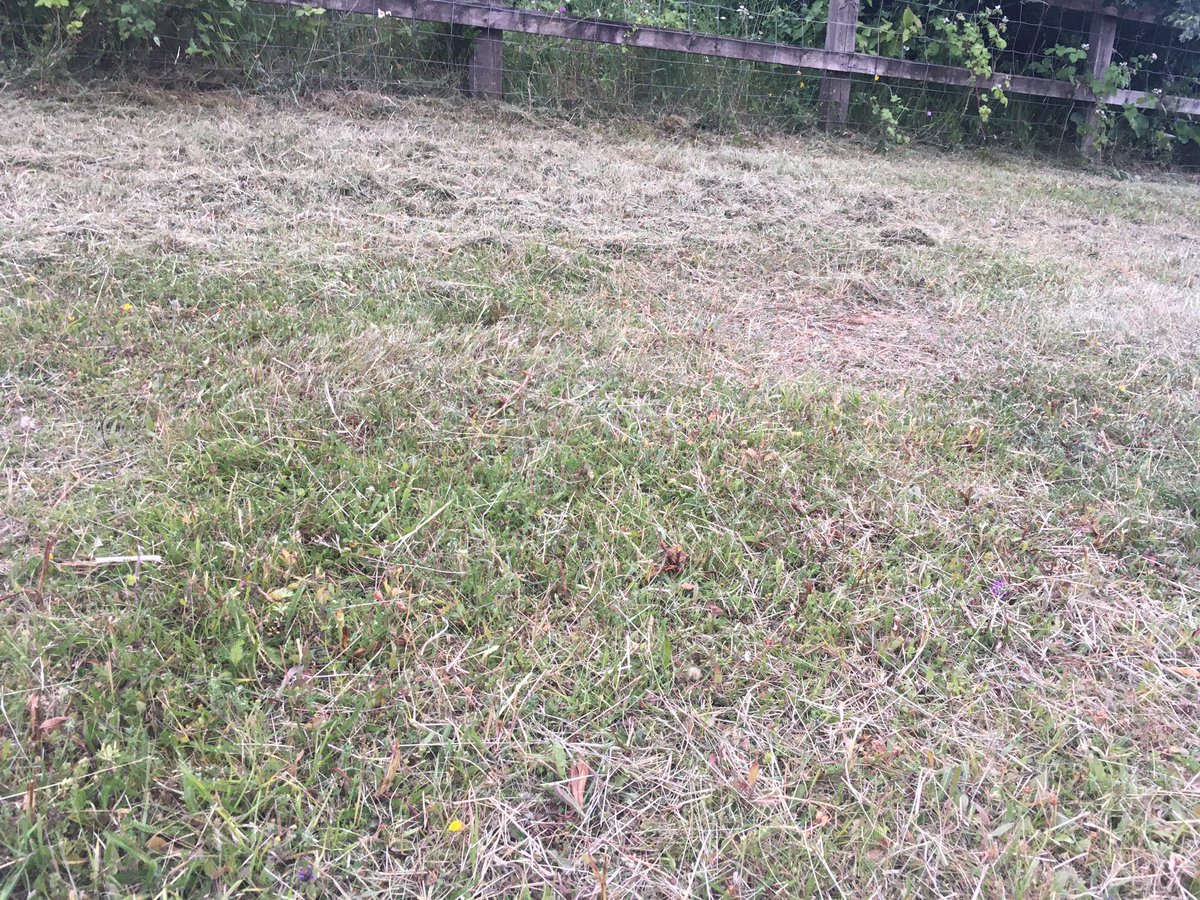 CFGSBirds's tweet photo. Oh no!  24 hours later.  Such a shame. 😕 https://t.co/WX8R28IKzH