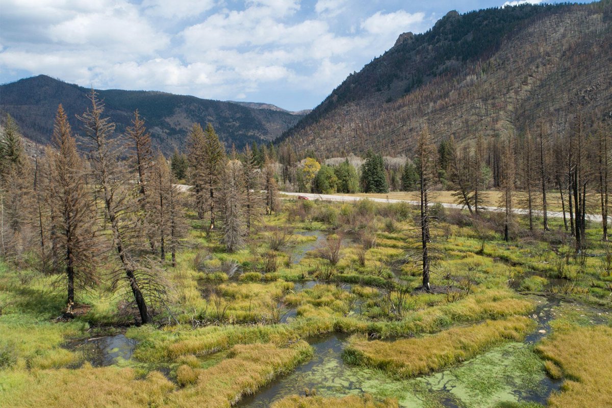 CoyoteGulch's tweet photo. Hager: There's a lot of animals that also depend on the #ColoradoRiver Basin. In the photo you see a beaver dam complex that is resistant to wildfire. Photo is in the #PourdreRiver Basin with the #CameronFire burn scar in the background. #shed22 https://t.co/Y218NfbyXF