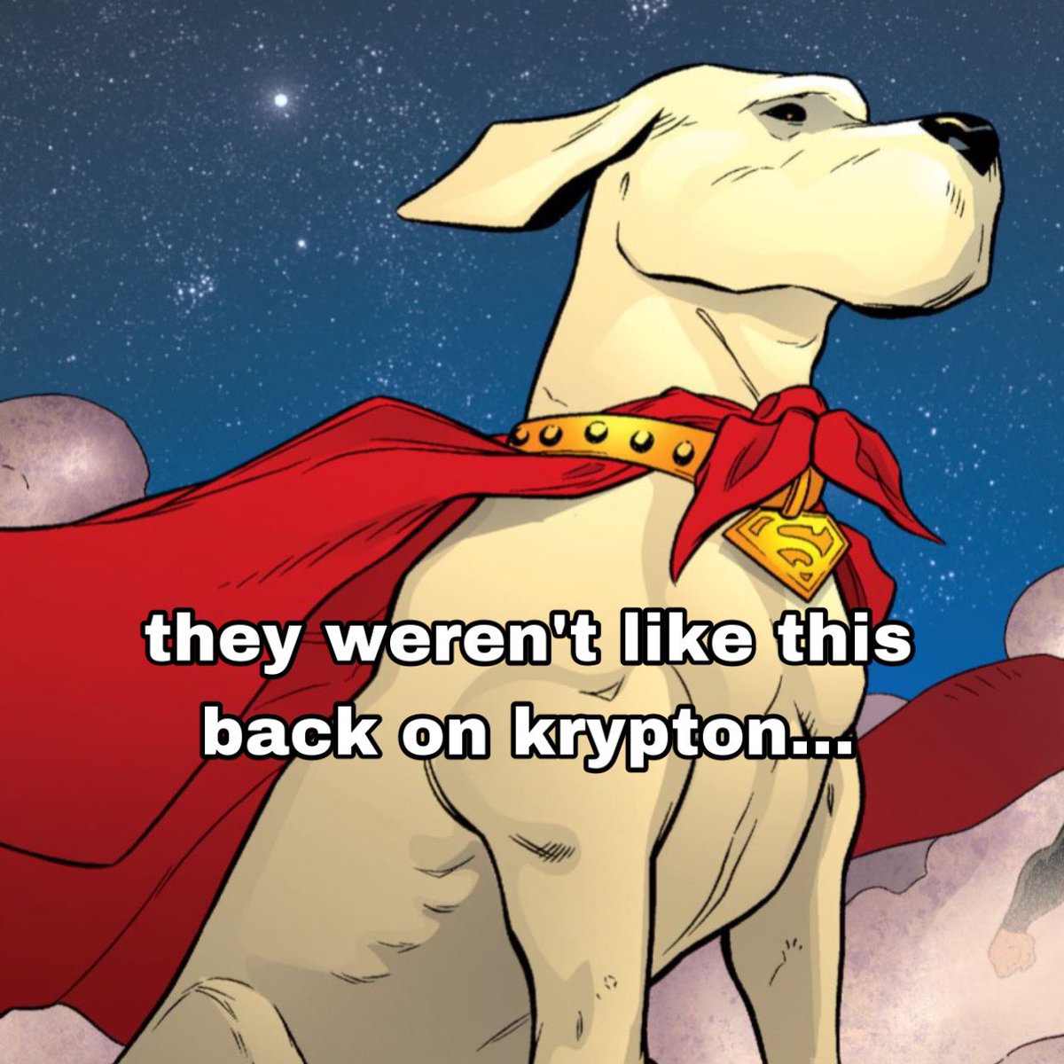 cosmiczorel's tweet image. did Not have homophobic krypto memes in my 2022 bingo card