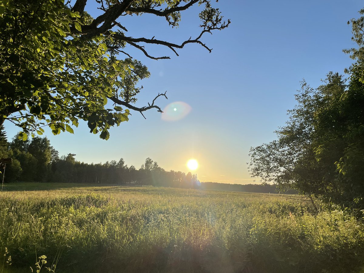 ajennische's tweet photo. Nämen vilken tråkig och ful kväll det blev så här dagen före. #torplife https://t.co/xX6q5sCLFy