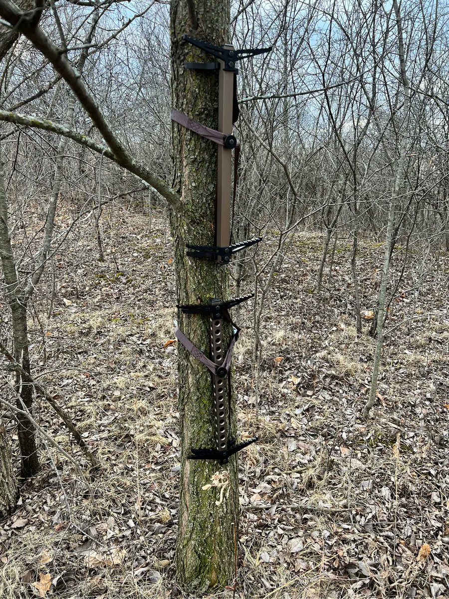 hbeastgear's tweet photo. Proven, trusted, and reliable. Get your own set now, lowest price ever, immediate shipping. https://t.co/tvh3opXN8X
