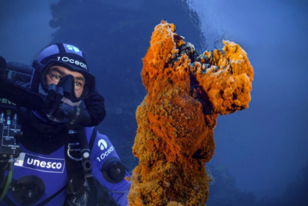UNESCO - June 2022, Press Release:

Underwater volcanoes: exceptional images filmed in the Mediterranean.

To read the full article, please, click on the following link:

unesco.org/en/articles/un…